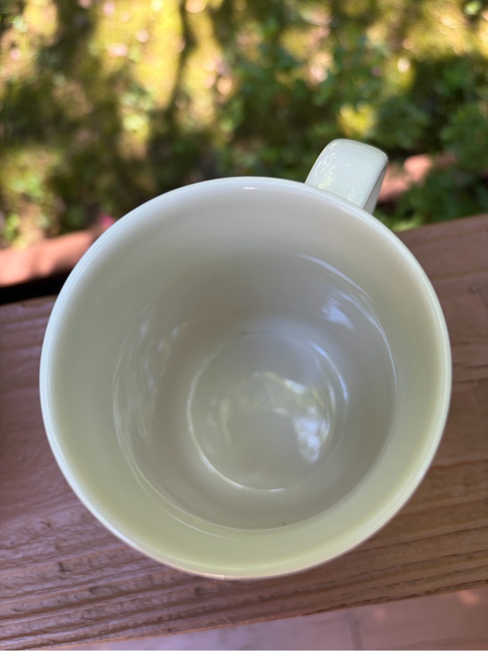Two Starbucks 12 oz ceramic mugs with embossed daisy or sunflower floral design - Picture 9 of 14
